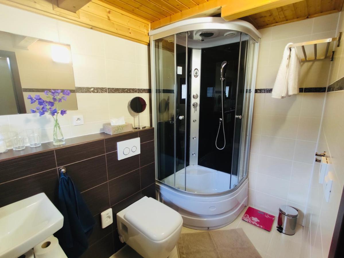 Grand Spa Holiday Home Sklené Teplice Esterno foto