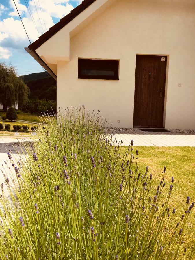 Grand Spa Holiday Home Sklené Teplice Esterno foto