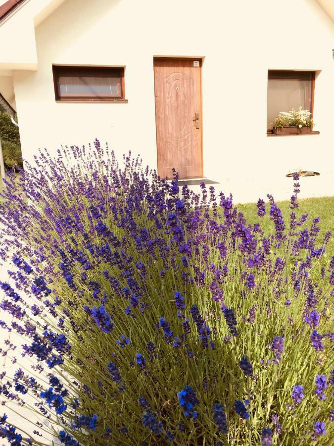Grand Spa Holiday Home Sklené Teplice Esterno foto